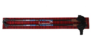 Палки для скандинавской ходьбы