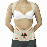 Модуль для бандажа грудо-поясничного Dorso Evotec
